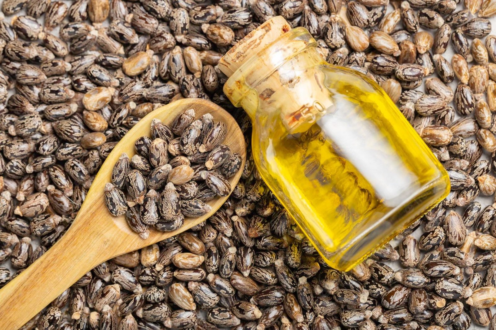 Erand Oil – Ayurvedic ingredient in Orthonerv Pain Relief Roll-On