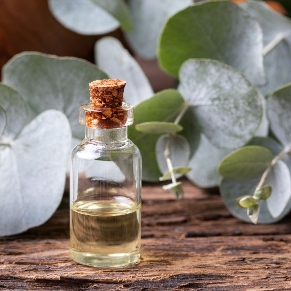 Neelgiri Oil ingredient in Orthonerv Pain Relief Roll-On
