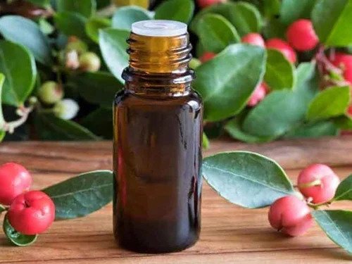 Gandhpura Oil used in Orthonerv Pain Relief Roll-On